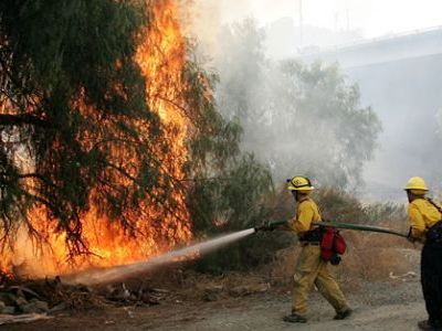 ΤΩΡΑ: Φωτιά στη Ροδόπολη Αττικής - Φωτογραφία 1