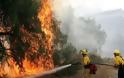ΤΩΡΑ: Φωτιά στη Ροδόπολη Αττικής