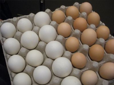 Ένα αυγό την ημέρα για καλή υγεία - Φωτογραφία 1