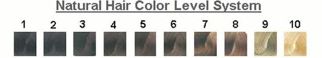 Χρώματα μαλλιών και Χρωματολόγιο για γυναίκες. Ποιο Χρώμα Μαλλιών σου ταιριάζει; - Φωτογραφία 2