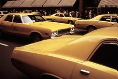 Η κίτρινη φυλή της Νέας Υόρκης