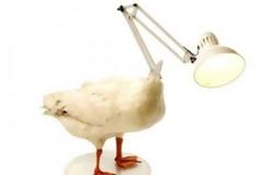 10 αντικείμενα που δεν θα αγοράζατε …ποτέ!