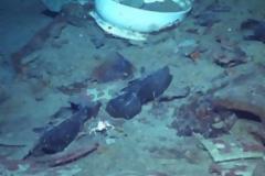 Νέες ανατριχιαστικές φωτογραφίες από το ναυάγιο του Τιτανικού