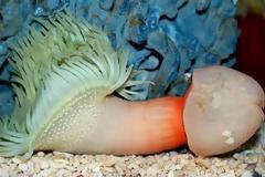 Όταν η φύση γίνεται πονηρή... (photos)