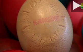 Κότα γέννησε αυγό με τον … ήλιο της Βεργίνας - Φωτογραφία 1