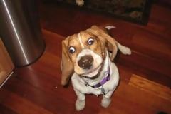 ΔΕΙΤΕ: Θεϊκές φάτσες!!!