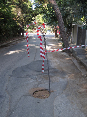 Φύτρωσε δέντρο στο δρόμο της Δροσιάς - Φωτογραφία 2