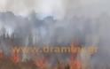 Μεγάλη πυρκαγιά σε κατοικημένη περιοχή στην Δράμα [video]