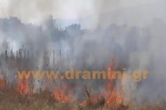Μεγάλη πυρκαγιά σε κατοικημένη περιοχή στην Δράμα [video]