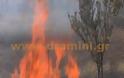 Μεγάλη πυρκαγιά σε κατοικημένη περιοχή στην Δράμα [video] - Φωτογραφία 3