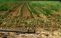 Τα γεωργικά επαγγέλματα που επιδοτεί μέχρι και 55% το ΕΣΠΑ