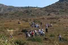 Ζωή σε 50.000 δεντράκια στις πλαγιές του Πεντελικού