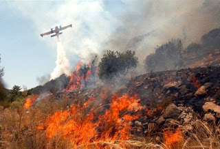 Φθιώτιδα: Μεγάλη φωτιά σε εξέλιξη στο Ζέλι Αταλάντης - Φωτογραφία 1