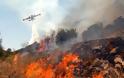 Φθιώτιδα: Μεγάλη φωτιά σε εξέλιξη στο Ζέλι Αταλάντης