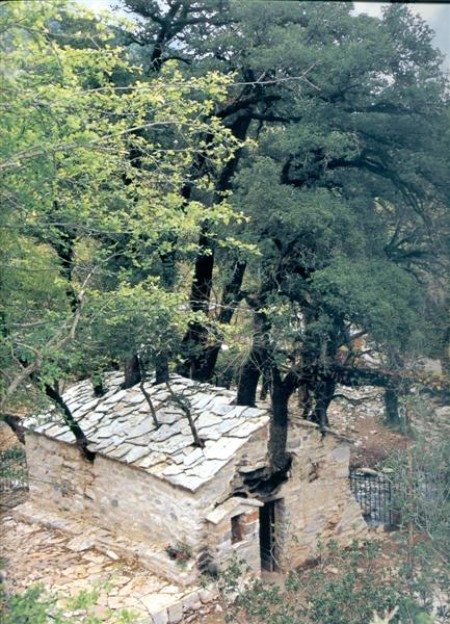 Η ιστορία πίσω από το θαύμα με τα 17 πλατάνια στη στέγη του Ναού της Αγίας Θεοδώρας - Φωτογραφία 3