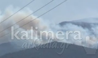 Βίντεο από τη σημερινή μεγάλη φωτιά στην Αρκαδία - Φωτογραφία 1