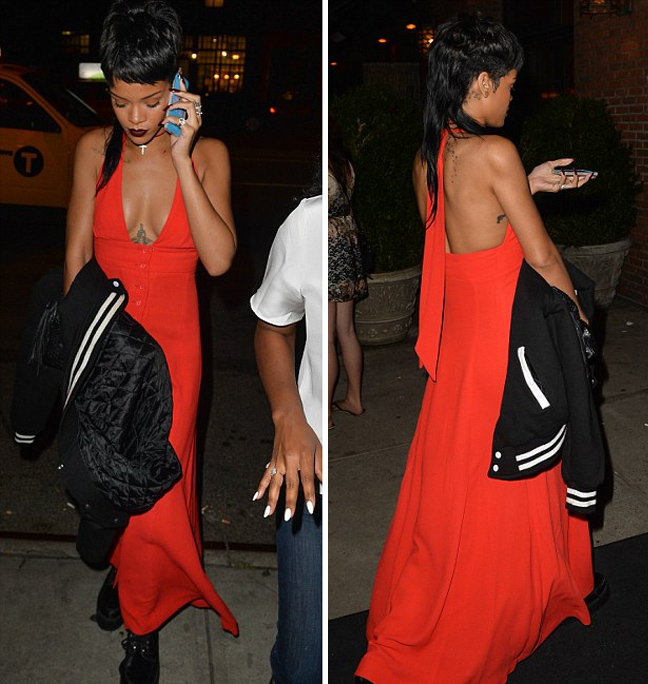 Η Rihanna με χαίτη - Φωτογραφία 2