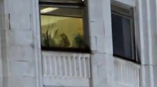 Σάλος από το video που δείχνει άγριο σεξ στο πρωθυπουργικό Mέγαρο! - Φωτογραφία 1