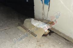 Θαλάσσια χελώνα σαπίζει εδώ και μέρες στο εμπορικό λιμάνι της Πρέβεζας