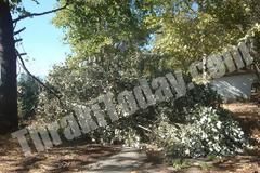 Πτώσεις δέντρων και καταστροφές στην Ξάνθη από την κακοκαιρία