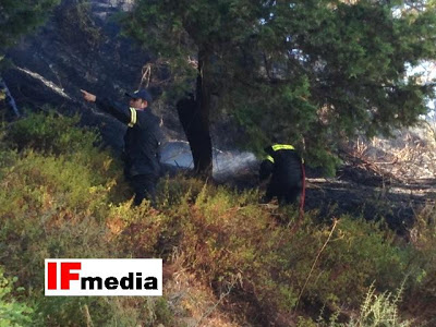 Ρόδος: Έσβησε η πολύ επικίνδυνη πυρκαγιά - Φωτογραφία 5