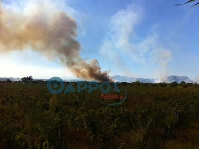 Μεγάλη φωτιά στο αεροδρόμιο της Καλαμάτας και στη Μικρομάνη [Photos & Video] - Φωτογραφία 5