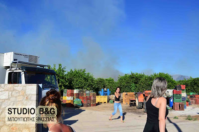 Φωτιά ξέσπασε στο Αργολικό Ναυπλίου - Φωτογραφία 2