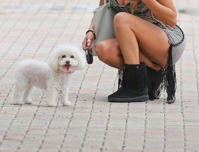 Παπαράτσι: Νεαρή ηθοποιός έβγαλε βόλτα τον σκυλό της και το «νινάκι» της - Φωτογραφία 2