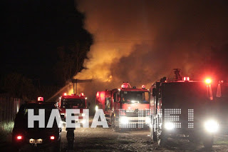 Γαστούνη: Πυρκαγιά κατέστρεψε στάβλο ολoσχερώς - Φωτογραφία 1