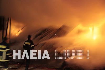 Γαστούνη: Πυρκαγιά κατέστρεψε στάβλο ολoσχερώς - Φωτογραφία 3