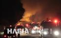 Γαστούνη: Πυρκαγιά κατέστρεψε στάβλο ολoσχερώς