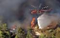 Αχαΐα: Μεγάλη φωτιά φωτιά στο Λαμπίρι -  Επιχειρούν 17 οχήματα της Πυροσβεστικής - Σηκώνεται και ελικόπτερο