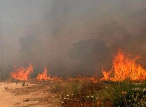Πυρκαγιά στο Ξαμμουδοχώρι Χανίων καίει και ελαιώνες - Φωτογραφία 1
