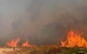 Πυρκαγιά στο Ξαμμουδοχώρι Χανίων καίει και ελαιώνες