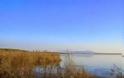 Αιτωλ/νία: Νεκρός ο αγνοούμενος ψαράς στη λίμνη Οζερός