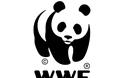 WWF: Χαρίζεται όπως είναι, δασωμένο