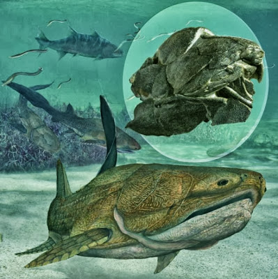 Aνακάλυψαν προϊστορικό ψάρι... 419 εκατομμυρίων ετών! - Φωτογραφία 2