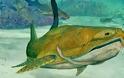 Aνακάλυψαν προϊστορικό ψάρι... 419 εκατομμυρίων ετών!