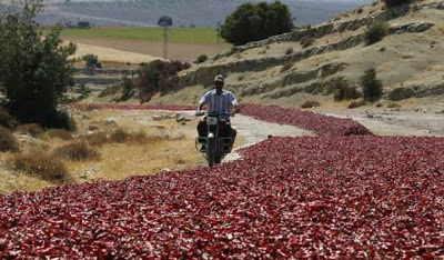 Ένας κόκκινος δρόμος που όμοιος του δεν υπάρχει - Φωτογραφία 2