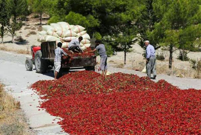 Ένας κόκκινος δρόμος που όμοιος του δεν υπάρχει - Φωτογραφία 3