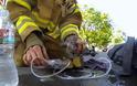 Συγκινητικό βίντεο! Πυροσβέστης επαναφέρει στη ζωή γατάκι από σπίτι που κάηκε!