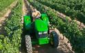 Πρωτοβουλία για εποχιακή απασχόληση εργατών γης στη κτηματική περιφέρεια Νεοχωρίου Μεσολογγίου