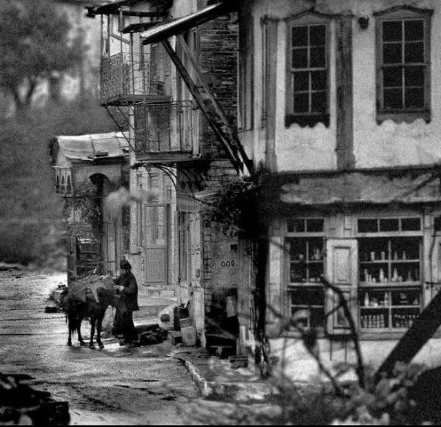 3622 - Οι συμμετέχοντες στην Έκθεση φωτογραφίας «Το Άγιον Όρος των προσκυνητών» της Αγιορειτικής Εστίας - Φωτογραφία 17