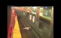 Άντρας πέφτει αναίσθητος στις ράγες του τρένου [video]