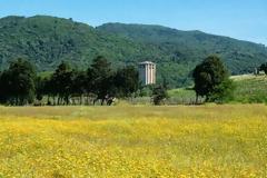 3623 - Ο Πύργος του Καβαλλάρη (Μιλούτιν)