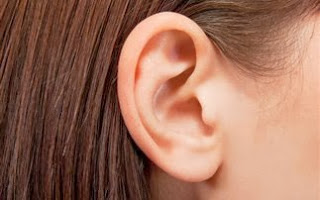 Δημιουργήθηκε τεχνητό αυτί με πανίσχυρη ικανότητα ακοής - Φωτογραφία 1