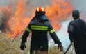 Φθιώτιδα: Καίνε καλαμιές και βάζουν φωτιές - Τρέχουν και δεν φτάνουν πάλι σήμερα οι πυροσβέστες