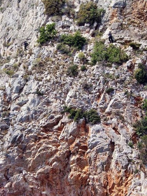 Συνέντευξη ερημίτη μοναχού που ζεί στην έρημο του Αγίου Όρους... - Φωτογραφία 23