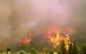 Σε εξέλιξη μεγάλη πυρκαγιά στην ορεινή Κορινθία