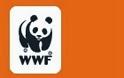 WWF: Αναβολή συνέντευξης τύπου